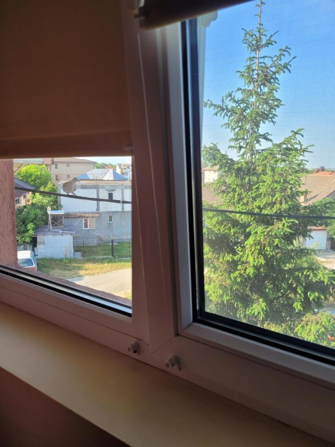 Vila Liz Eforie Nord Hotell Exteriör bild